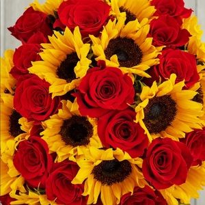 Meet your Posher, Mariela